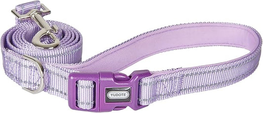 Reflective Nylon Dog Leash, Handle Padded with Neoprene, for Small Medium Large Dog.(S, Lilac Purple)