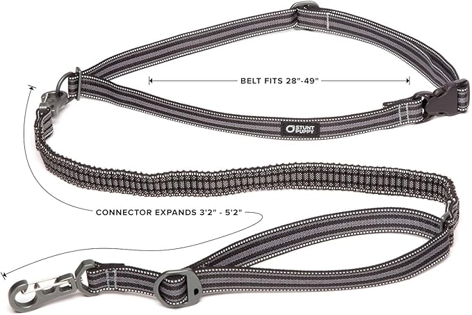 Stunt Puppy Go Dog Glo Runner Hands-Free Leash, Black