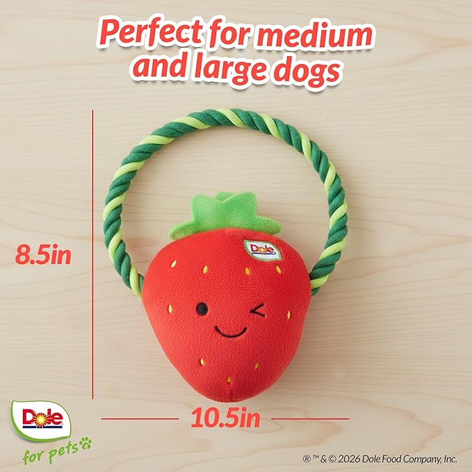 Dole for Pets® Dog Rope Toy with Squeakers, Strawberry Tug of War Dog Toy, Tough Cotton Rope Toys for Dogs, Aggressive Chew Toys for Medium Dogs