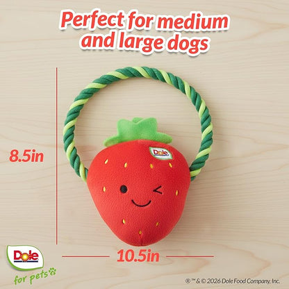 Dole for Pets® Dog Rope Toy with Squeakers, Strawberry Tug of War Dog Toy, Tough Cotton Rope Toys for Dogs, Aggressive Chew Toys for Medium Dogs