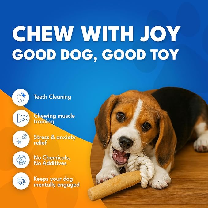 Coffee Wood Dog Chew Toy with Rope for Small Dogs, Natural Wood Stick for Light to Moderate Chewers, Safe Chewing for Dental Care, Tug Play & Boredom Relief (Small - Under 30lbs)
