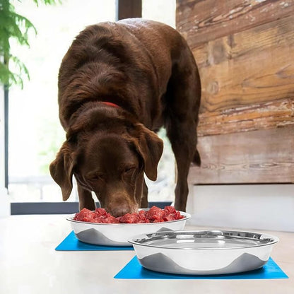 Shallow Dog Food Bowls, Non Slip Food Grade Stainless Steel Bowls for Large Dogs - Interior Size (Dia:10.6" xHeight 2.0") Hold 8 Cups / 2 Quart (2 Packs)
