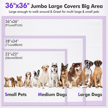 Gimars 36x36 XXXL Lavender Scented Ultra Absorbent 6-Layer Dog Pee Pads Extra Large, Leakproof Puppy Training Pads Quick-Dry Wee Wee Pee Pads for Dogs, Perfect for Puppies, Adult Senior Dogs