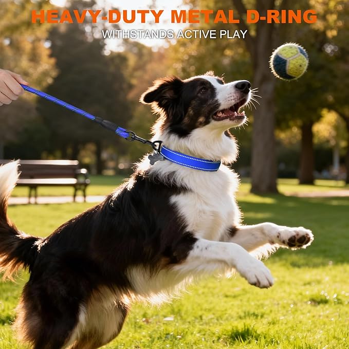Taglory Reflective Dog Collar with Safety Locking Buckle, Soft Neoprene Padded Dog Collar for Medium Dogs, Metal D-Ring, Adjustable Nylon Neck Strap for Daily Walking, Training & Running, Navy Blue, M