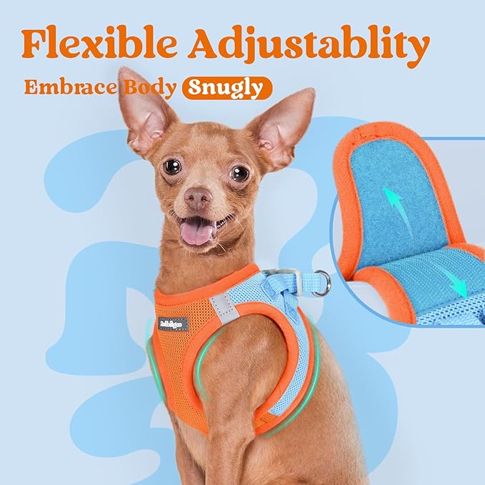 rabbitgoo Small Dog Harness, Step-in Soft Mesh Puppy Vest with Safety Buckle, Breathable Reflective Pet Harness for Small Medium Dogs, Blue & Orange L