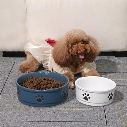 Sweejar Ceramic Dog Bowls with Paw Pattern, Dog Food Dish for Large Dogs, Porcelain Pet Bowl for Water 70 Fl Oz (Fog Blue)