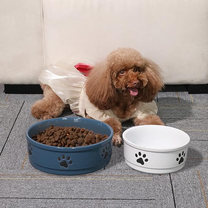 Sweejar Ceramic Dog Bowls with Paw Pattern, Dog Food Dish for Small Dogs, Porcelain Pet Bowl for Water 16 Fl Oz (Fog Blue)