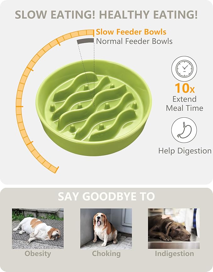 Ceramic Slow Feeder Dog Bowls Elevated, 2.0 Cups Dog Slow Feeder for Medium and Large Dogs, 30oz, 8in, Lime Green