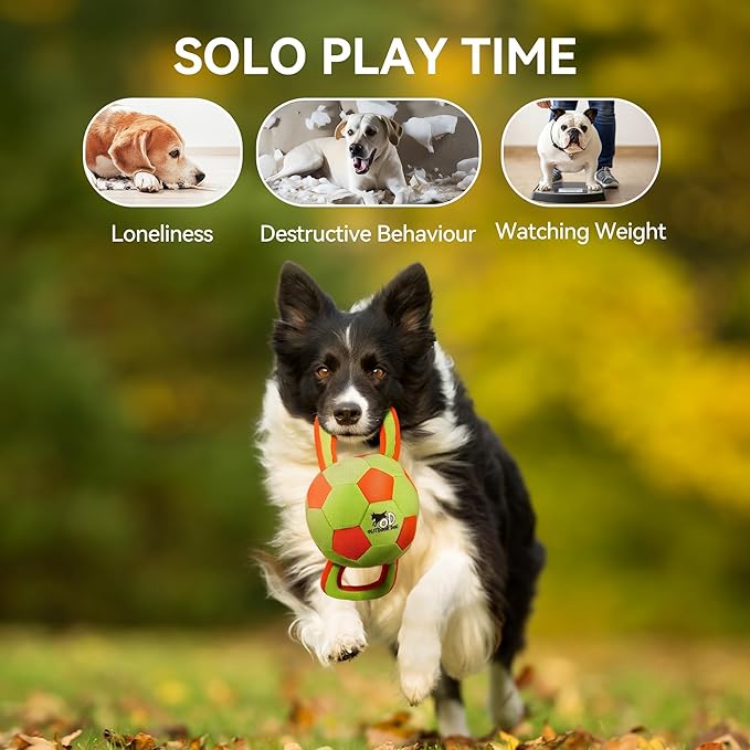 ALL FOR PAWS Dog Ball with Handles, Dog Toy with Squeaker, Interactive Tug of War Ball Toy for Small and Medium Dogs, 12.6 x 5.9 x 5.9 Inch