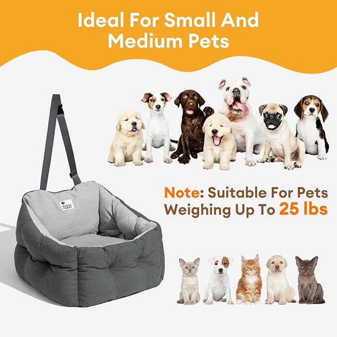 FUNNY FUZZY Dog Car Booster Seat for Small/Medium Dogs Up to 39lbs – Waterproof Fabric, Non-Slip Base, Safety Leash, Fully Detachable & Machine Washable Cover (Gray)
