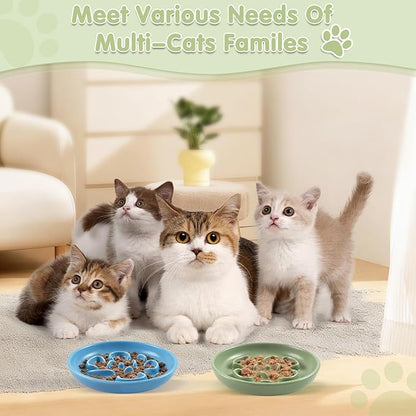 Cat Slow Feeder Bowl Set - 2 Pcs Pastel Series Cat Plate for Dry and Wet Food - Cute Maze Feeder Dish for Healthy Eating- Slow Feeding Bowls Whisker Friendly - Dishwasher Safe (Blue and Green)