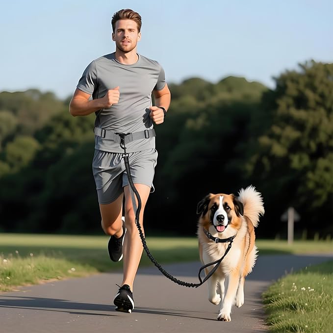 Tails & Tales Hands Free Dog Leash with Waist Pouch, Lumbar Support Upgraded, Bungee Reflective Leash, Adjustable Belt 25-55", Walking Running Hiking Training for Dogs Up to 125lbs (Black, One Dog)