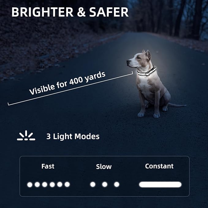 LED Dog Collar for XSmall Dogs & Toy Breeds – USB-C Rechargeable Light Up Dog Collar, Fully Waterproof Adjustable Glow Collar for Night Walking & Safety(White,XS)