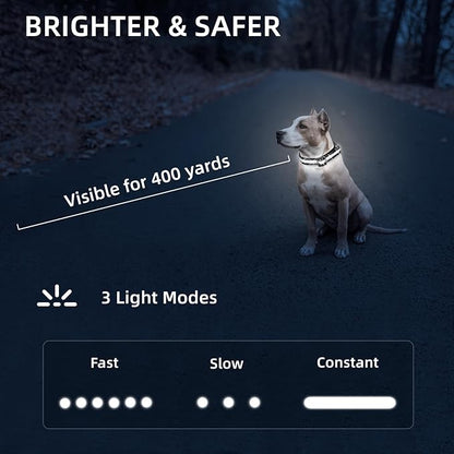 LED Dog Collar for XSmall Dogs & Toy Breeds – USB-C Rechargeable Light Up Dog Collar, Fully Waterproof Adjustable Glow Collar for Night Walking & Safety(White,XS)