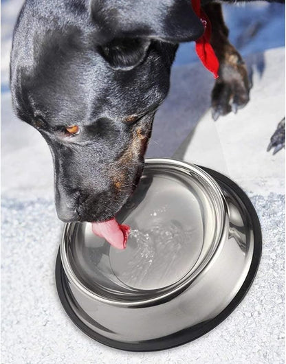 Juvale Stainless Steel Dog Bowls Set - Nonslip Dog Water Bowl Base - Dual Food & Water Pet Dishes - Dishwasher Safe Cat Dish - Pack of 2, 10 in Diameter