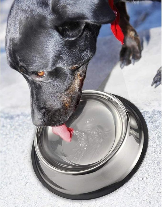 Juvale Stainless Steel Dog Bowls Set - Nonslip Dog Water Bowl Base - Dual Food & Water Pet Dishes - Dishwasher Safe Cat Dish - Pack of 2, 10 in Diameter