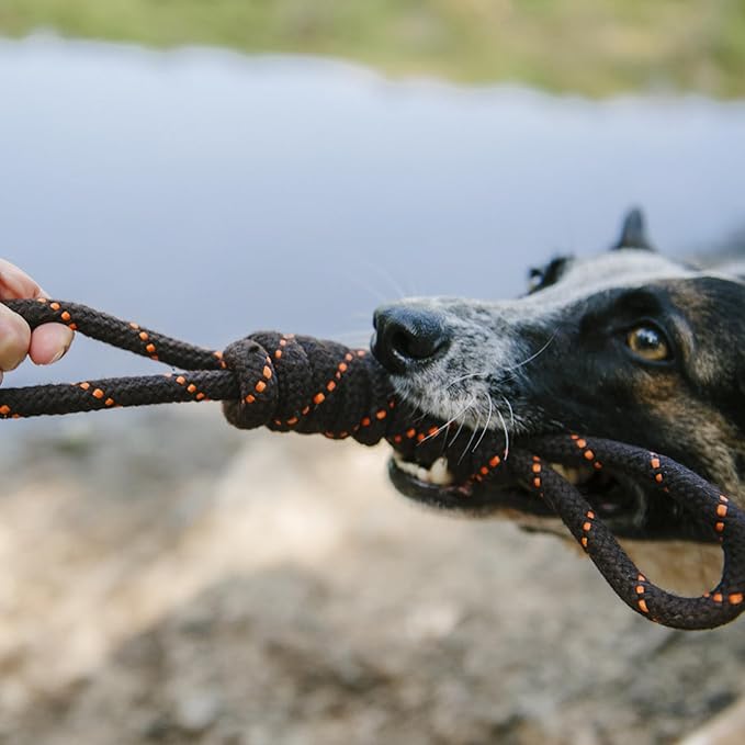 P.L.A.Y. Outdoor Dog Toy - Scout & About Tug Rope Chew Toy, Great for Puppies Dogs - Durable, Good for Agility Training, Tugging (Large)