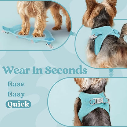 rabbitgoo Small Dog Harness, Step-in Soft Mesh Puppy Vest with Safety Buckle, Breathable Reflective Pet Harness for Extra Small Dogs, Mint Blue XXXS