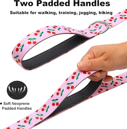 5ft Dog Leash with Two Padded Handles, Heavy Duty Strong Nylon Pet Leash with Soft Neoprene Handle for Small Medium Large Dogs, Cherry