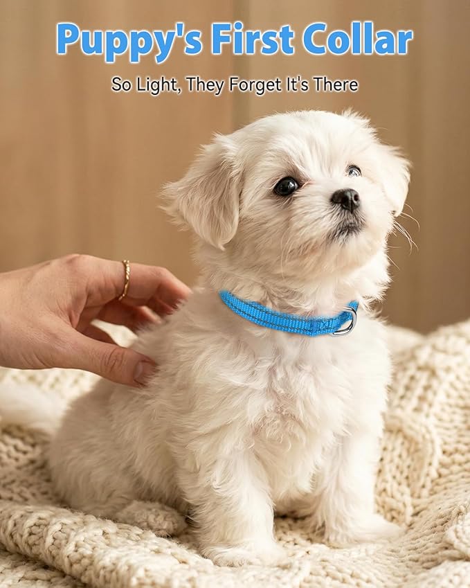 Joytale Puppy Collar, Feather-Light Double-Sided Reflective Nylon Collar for Night Safety, Adjustable Quick-Release for Extra Small Dogs, Sky Blue, XS (3/8" Width)