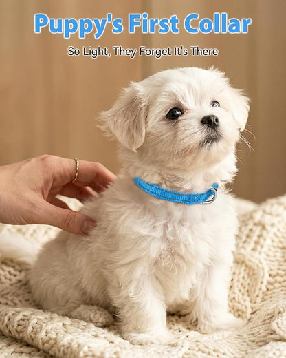 Joytale Puppy Collar, Feather-Light Double-Sided Reflective Nylon Collar for Night Safety, Adjustable Quick-Release for Extra Small Dogs, Sky Blue, XS (3/8" Width)