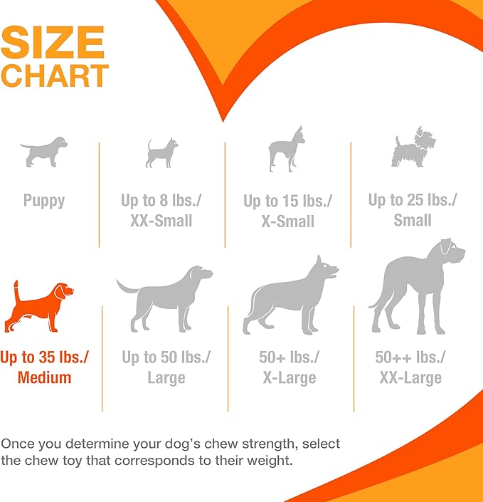 Nylabone Textured Dental Bone Flexi Chew Toy for Dogs, Dog Toys for Moderate Chewers, Chicken Flavor, Medium - Up to 35 lbs, 1 Count