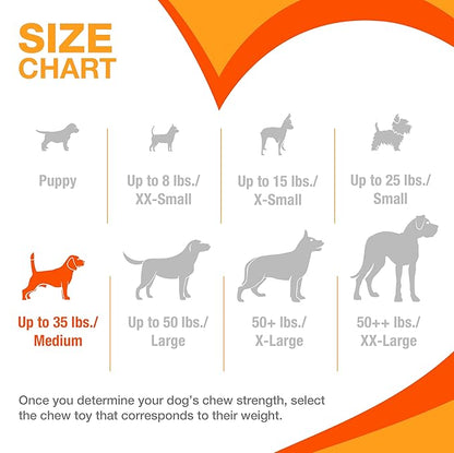Nylabone Flexi Chill & Chew Toy for Dogs with Treat Pockets, Dog Toys for Moderate Chewers, Chicken Flavor, Medium - Up to 35 lbs, 1 Count