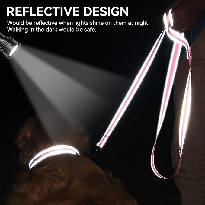 Joytale Dog Leash, 5 FT Double-Sided Reflective, Padded Handle Nylon Heavy Duty Leashes for Small Dogs Walking, Pink