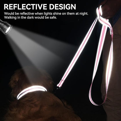 Joytale Dog Leash, 5 FT Double-Sided Reflective, Padded Handle Nylon Heavy Duty Leashes for Small Dogs Walking, Pink