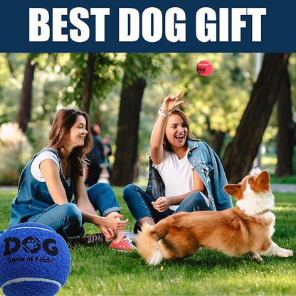 AMA SPORT Tennis Balls for Dogs 12 Pack 2.5" Multi Colors Dog Tennis Balls for Puppy Small Medium Dog Toys, Designed for Dogs Floating Water-Hunting Fetch Fun Playing Daily Exercise Mid-air Catching