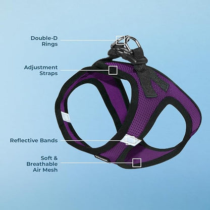 Best Pet Supplies Voyager Step-in Air Harness - All Weather Mesh, Reflective, No Pull Harness for Dogs, Cats - Secure with Hook & Loop Fastener, Buckle, Double D-Rings - Purple/Black Trim, M
