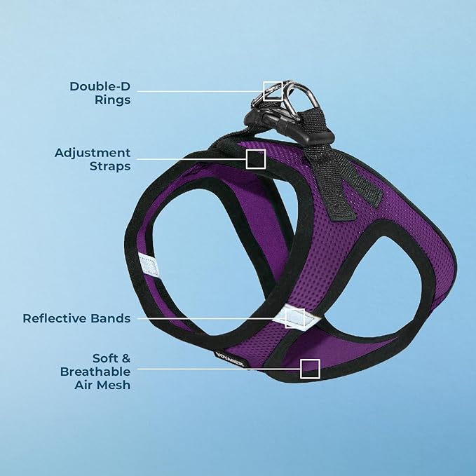 Best Pet Supplies Voyager Step-in Air Harness - All Weather Mesh, Reflective, No Pull Harness for Dogs, Cats - Secure with Hook & Loop Fastener, Buckle, Double D-Rings - Purple/Black Trim, XXXS