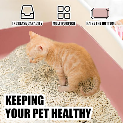5PCS Small Litter Box, Plastic Kitten Litter Box, 13.9 x 9.8 x 3 Inch Open Litter Box for Small Pet, Easy to Clean (5 Color)