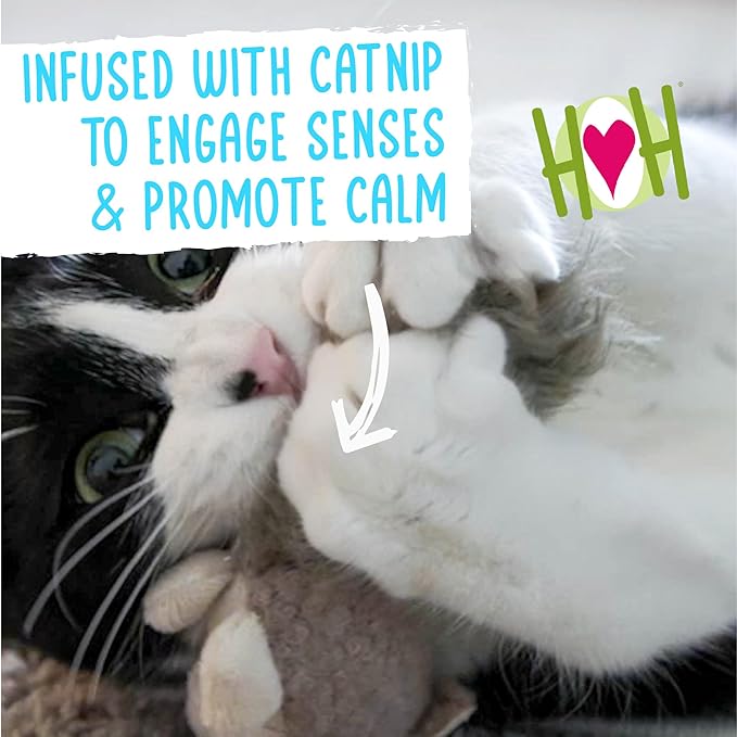 HuggleKats Cat Toys - Kitten Toys for Bored Indoor Cats, Perfect for Moving, Exercise, Biting & Chewing - Wee Fellar Squirrelie