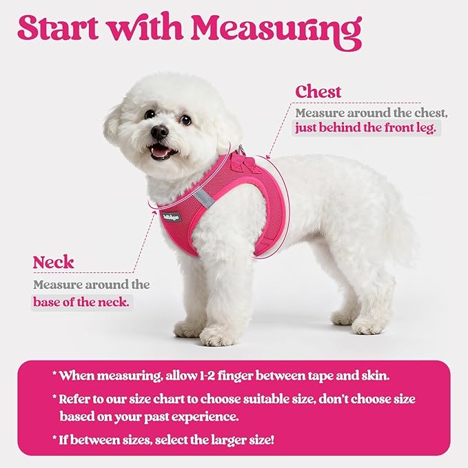 rabbitgoo Dog Harness Small Sized and Leash Set, Step in Soft Light Puppy Vest, Breathable Mesh Pet Harness, Reflective for Safe Easy Walking, Rose Red M