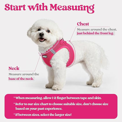 rabbitgoo Dog Harness Small Sized and Leash Set, Step in Soft Light Puppy Vest, Breathable Mesh Pet Harness, Reflective for Safe Easy Walking, Rose Red S