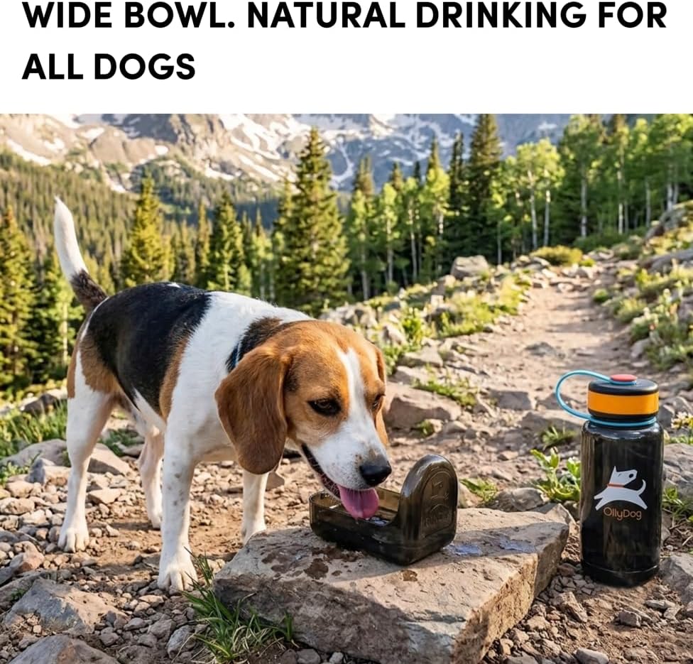 OllyDog OllyBottle Tritan Water Bottle with Detachable Dog Bowl | BPA Free Leakproof | 20oz | Share Water with Your Dog | Hiking Travel Camping (600ML, Chromatic) - Image 2