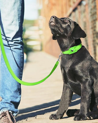 Reflective Dog Leash 6ft Soft Padded Handle Nylon Lead for Small & Medium Dogs, Durable Walking Training Leash for Night Safety (Green,3/4Inch Wide)