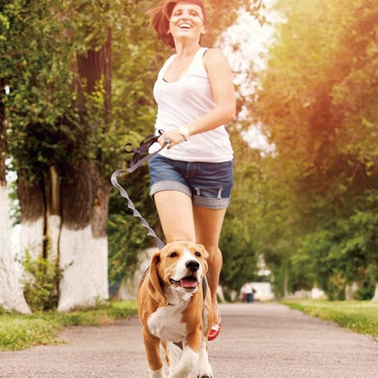 JESPET Hands Free Dog Leash for Running, Walking, Hiking Jogging for Medium & Large Dogs up to 150lbs, Durable Dual Handle Waist Leash with Reflective Bungee and Adjustable Waist (Black)