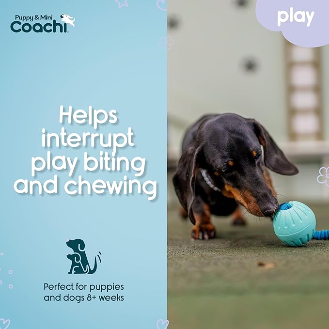 Coachi Puppy & Mini Tuggi Ball - Lightweight, Tough Dog Toy, Stretchy Bungee Handle, Reward Training, Agility, Recall, Interrupt Biting & Chewing, Suitable for Small Dogs & Puppies