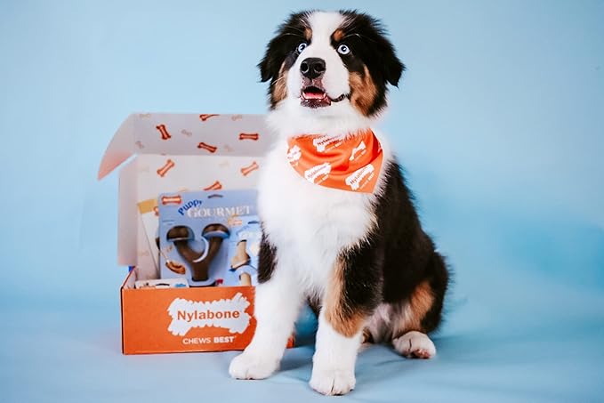 Nylabone Gourmet Style Femur & Wishbone Strong Chew Toy for Puppies, Puppy Teething Toy, Bacon & Peanut Butter Flavor, Small Dogs - Up to 25 Ibs, 2 Pack