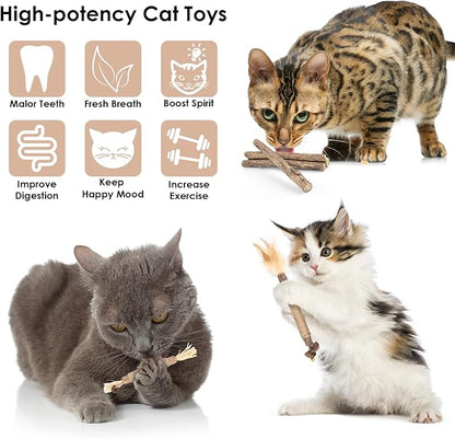 Bissap 10 PCS Silvervine Chew Sticks for Cats, Catnip Chew Sticks Cat Toys for Indoor Cat Kitten Teeth Grinding Interactive Feather Toys for Aggressive Chewers Dental Care