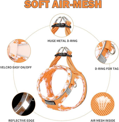 Mercano Soft Mesh Dog Harness and Leash Set, No-Chock Step-in Reflective Breathable Lightweight Easy Walk Vest Harnesses with Safety Buckle for Small Dogs, Cats (Orange, L)