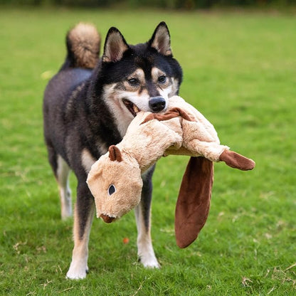 Best Pet Supplies Squeaky Dog Toys with Soft Durable Fabric for Small, Medium and Large Pets Interactive Toy for Indoor Play, Supports Active Biting and Play - Monkey, Squirrel, Medium