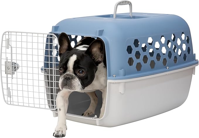26" Plastic Portable Dog Kennel, Blue – Lightweight Travel Crate for Medium Dogs Cat, Durable & Ventilated, Indoor/Outdoor Use