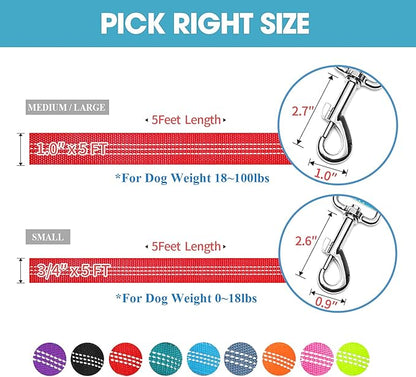 BAAPET Two Handle Dog Leash, Dual Soft Padded Handles with Traffic Control Handle Leash for Small Medium or Large Dogs (1.0'' x 5 FT, Red)