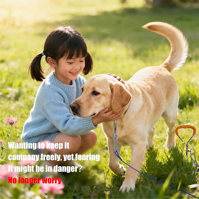 Dog Tie-Out Cable and Stake, 30 FT Heavy Duty Dogs Lead Cable with Detachable Shock Spring, Ideal for Yard, Camping and Beach, Suitable for Small Medium Large