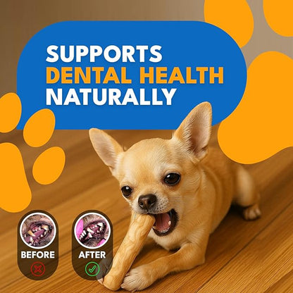 Coffee Wood Dog Chew Sticks Set of 3 for Puppies, Small Dogs, Teething Toys – Natural, Eco-Friendly & Long-Lasting Dog Chew Toy for Teeth Cleaning, Boredom & Stress Relief (XS - Under 20lbs)