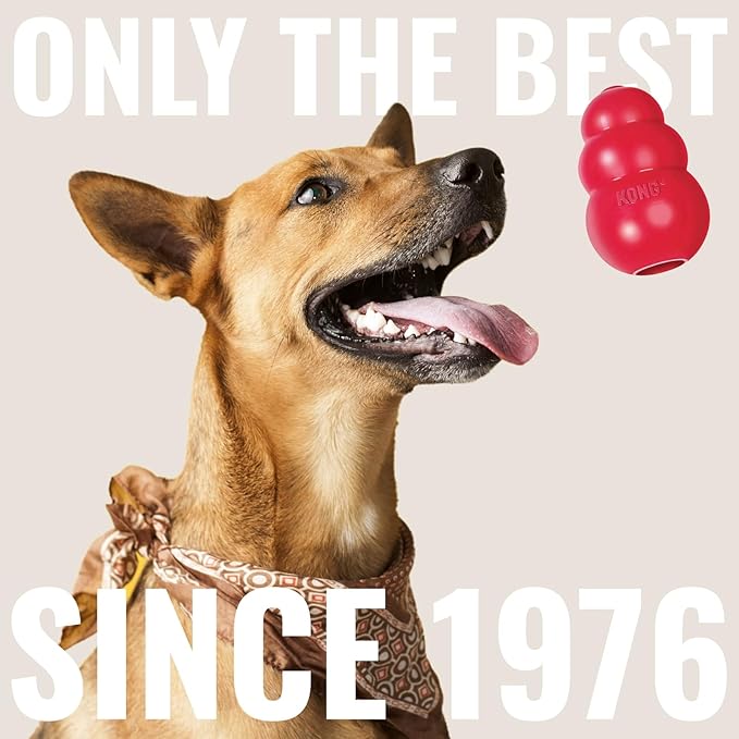 KONG Cozie Ali Alligator & SqueakAir Balls (3 Pack) - Dog Fetch & Chew Toys for Fun - Soft Toy Alligator for Indoor Play - Durable Dog Toy Balls for Outdoor Play - for Medium Dogs