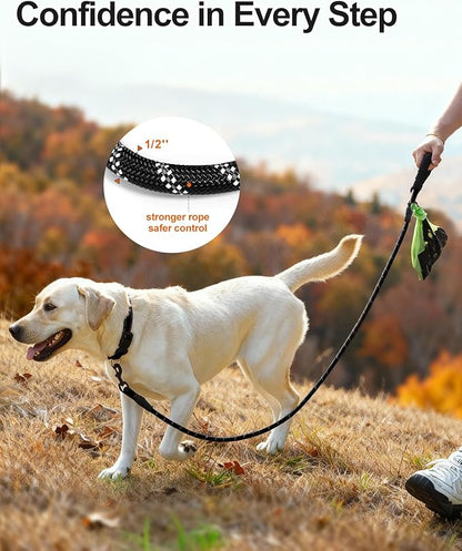 Joytale Dog Leash for Large Dogs, Heavy Duty Nylon Leashes with Comfortable Padded Handle and Highly Reflective Threads, Ideal for Walking and Training, Black, 6'×1/2''